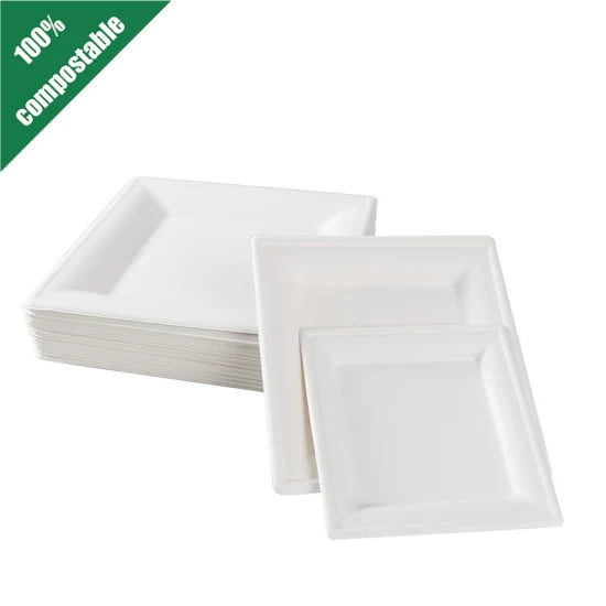 6 Inch Square Plates - Bagasse