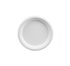 10 Inch Round Plates - Bagasse